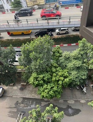 tây hồ - nhà mặt phố - kinh doanh sầm uất - 7 tầng thang máy - 2 thoáng vĩnh viễn - ô tô tránh