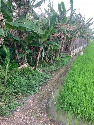 300m2 full thổ cách trung tâm tp. hcm 45 phút