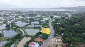 hàng hiếm ven biển cam ranh đón sóng tăng giá cùng vin cam ranh