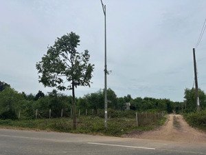 bán đất mặt tiền xã hồ tràm - hcm