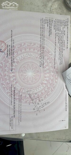 BÁN ĐẤT THỔ CƯ KIM CHUNG – HOÀI ĐỨC. 60m² | LÔ GÓC 2 THOÁNG | MẶT TIỀN 5.65M | BƯỚC RA ÔTÔ