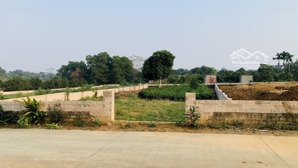 bán đất tại thôn bài, xã yên bài, ba vì, hà nội, giá tốt 9 triệu / m2, 722.2 m2