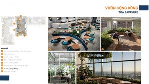 quỹ căn ngoại giao dự án view biển mỹ khê, đà nẵng rẻ nhất thị trường