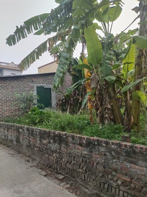 204m giá 1,79 tỷ, mt 7m ô tô vào tận đất chính chủ bán