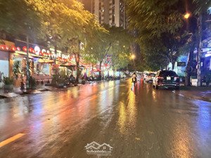 bán mảnh đất mặt phố nguyễn cảnh dị, vỉa hè, kinh doanh cực đỉnh, 65m2. giá hơn 20 tỷ