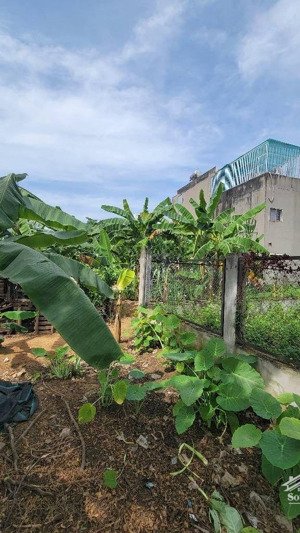 bán đất dự án thời báo kinh tế phường phú hữu quận 9