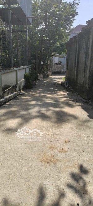 sót lại duy nhất 1 lô núi đông, hoàn sơn