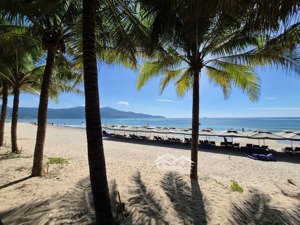 chuyển nhượng khách san 5 sao. dòng tiền 20tỷ/tháng mặt biển mỹ khê, đà nẵng. pháp lý chuẩn chỉ.