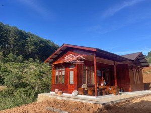 căn nhà gỗ nhỏ xinh 1300m2, nép mình giữa rừng thông xanh bạt ngàn ven đà lạt 