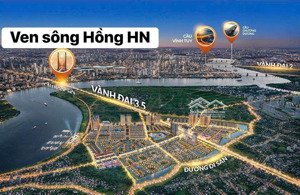 chính thức ra hàng phân khu cao tầng allumi dự án alluvia city văn giang, giá mới nhất từ cđt