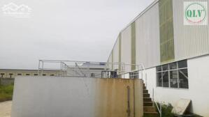 BÁN NHÀ XƯỞNG – KCN THÀNH THÀNH CÔNG, TRẢNG BÀNG, TÂY NINH – 15.000m²