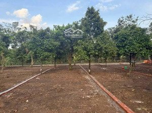 tặng 250 bao xi măng khi mua 1 nền đất giá rẻ tại trung tâm phường long khánh tỉnh đồng nai !!!