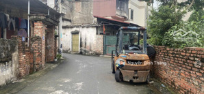 bán 120m2 đất đa tốn gia lâm đường ô tô , gần ecopark