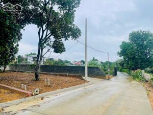 BÁN LÔ ĐẤT NGHỈ DƯỠNG DT 722M2, VIEW ĐỒI NÚI CỰC ĐẸP, CÁCH TRỤC CHÍNH YÊN BÀI 250M, GIÁ HƠN 6 TỶ LH0866990503