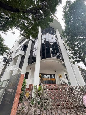 building có thang máy mới xây 2 mặt tiền hòa hưng gần cách mạng tháng 8 quận 10