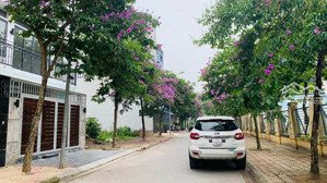 bán suất ngoại giao liền kề him lam thạch bàn diện tích 30,40,70,90,130m2 xây 5 tầng