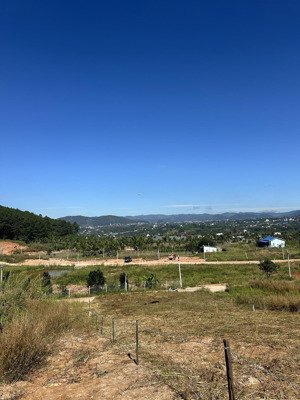 đất nghỉ dưỡng view đồi thông chỉ 2,4 tỷ, cách đà lạt 27km khí hậu mát mẻ quanh năm