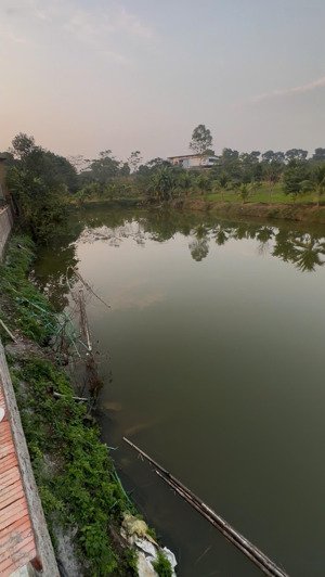 bán đất 100m2, giá siêu hời tại đường 21, xã hòa thạch, q.oai, hà nội