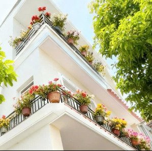 căn nhà xa hoa vĩnh khánh
hẽm tôn đản thông sang vĩnh khánh
giáp hoàng diệu - bến vân đồn sá