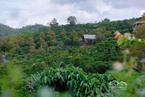 cộng đồng tri thức sống tử tế, kiến trúc gỗ - sống xanh - 1000m2, chọn lọc, không dành cho số đông