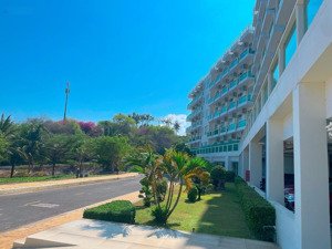 căn hộ ocean vista studio giá 1 tỷ 250