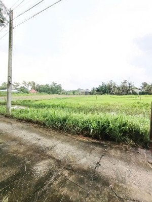 chính chủ gửi bán lô đất vườn khánh hậu, tân an. dt 1000m2 giá 1 tỷ tl