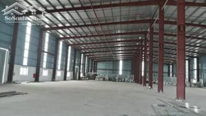 Cho Thuê Kho, Kho Linh Hoạt, Cfs,... Tại Kcn Dệt May