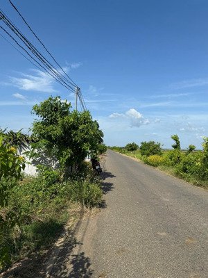 bán đất gần dương bạch mai, tt long điền, long điền, bà rịa, 1,55 tỷ, 168,1 m2 giá siêu hời