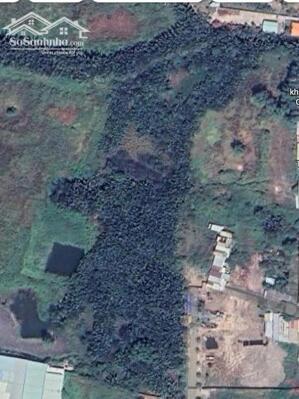 CHO THUÊ ĐẤT DIỆN TÍCH LỚN 20.000m² – QUẬN 7, TP.HCM