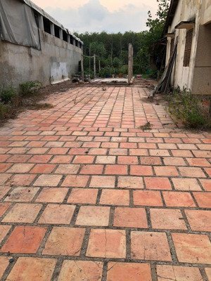 cần ra nhanh lô đất 300m2 gần kcn trảng bàng - giá chỉ nhỉnh 1 tỷ - thương lượng mạnh