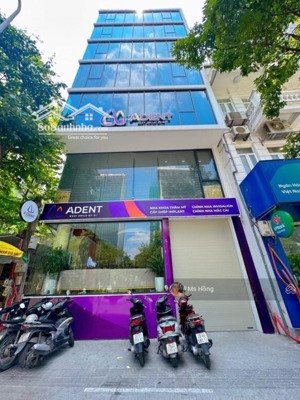 bán tòa nhà mặt phố thụy khuê 156 m 7 tầng kinh doanh giá 58.6 tỷ