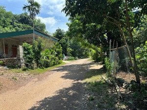 cắt lỗ cực sâu chỉ 3xx triệu sở hữu 160m² full thổ cư 2 mặt tiền đường nhựa lạc lương, yên thủy