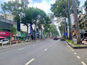 bán nhà cấp 4, shr, hxh, trần đình xu, p. cầu kho, q1. dt: 4x19m, 1t 1l, giá: 17 tỷ