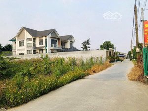 đất bình nhâm 10*43 làm nhà vườn quá đẹp lh 