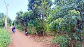 bán đất 3,2 tỷ gần 2 sào mặt tiền 27m full hồng khu dân cư có 100m2 thổ cư vị trí đẹp giá tốt