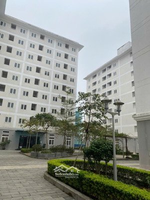 noxh sj town căn hộ 40 - 60m², giá từ khoảng 700 triệu, gần kcn lễ môn