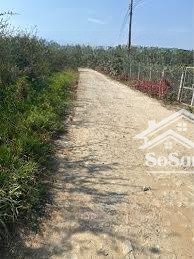 bán đất ngô quyền, di linh có sẵn thổ cư, đất đẹp dễ sử dụng