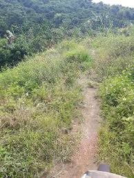 cần bán đất ngô quyền, di linh thích hợp làm nhà vườn cao cấp