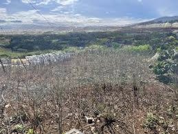 bán lô đất đẹp ngô quyền, di linh diện tích lớn, thổ cư sẵn