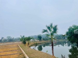 cắt lỗ 500tr lô đất cạnh khu đô thị thiên mã, khu nghỉ dưỡng và sân golf đồng mô, sổ đỏ chính chủ