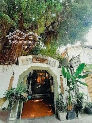 siêu vị trí - biệt thự cổ đường hai bà trưng, q.1 - ngang 12m x 20m, 1 trệt 1 lầu, sân vườn