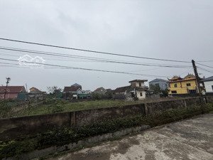 chính chủ bán đất thổ cư cương gián, nghi xuân, hà tĩnh giá đầu tư, mua f0! ngõ thông ô tô