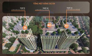 mở bán căn hộ cao cấp ruby riverside kề bên vin harmony diện tích 45-66-90-275m2 giá từ 11xtr/m2