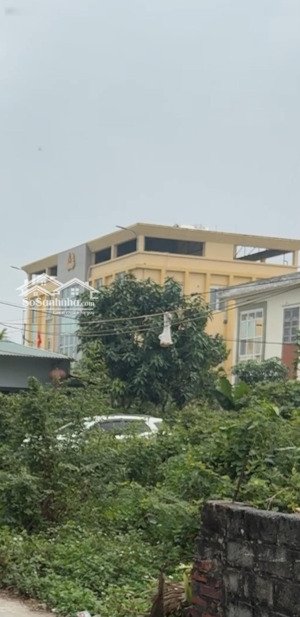 chính chủ bán đất thôn chẩn kỳ trung tú ứng hoà