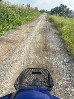 đất vườn vị trí đẹp cách nhựa 300m