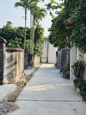 bán đất 107m thôn kinh lương, tân minh tiên lãng, hải phòng | đường ô tô, sổ đỏ, giá 9xx triệu