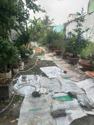 bán đất thổ cư 5x30=150 m2 mặt tiền rạch thơ du gần hà huy giáp,ngã 4 ga tl q.12 hơn 45tr/m2!