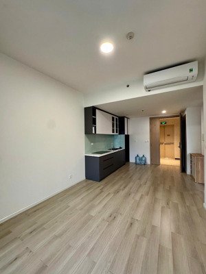 cho thuê 2pn 55m2, views 36ha, giá cực tốt 7,5tr tại khu cao cấp riêng tư - an ninh lumiere vin q9