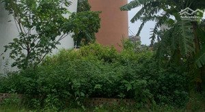 trôi | 48m | 6.2 tỷ | liền kề phân lô | vỉa hè | ô tô tránh đỗ ngày đêm| sát ql32 | dân cư đông đúc