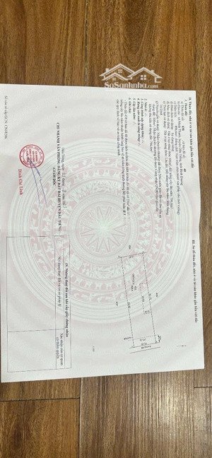 hàng hiếm cho anh chị thích mua sào có thổ thuộc nhánh dt749b , 15m ngang vuông vức